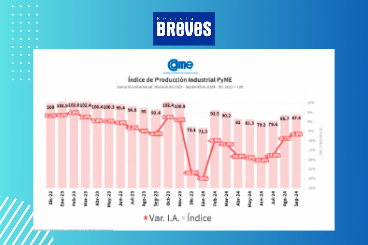 La industria pyme retrocede 6,6% en septiembre pero muestra señales de recuperación - imagen 2